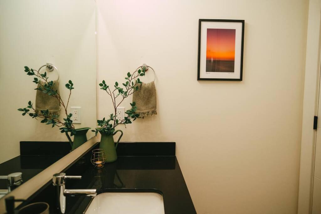 Chic Cozy Retreat - 2Br - Stunning North End Views Apartment Halifax Ngoại thất bức ảnh