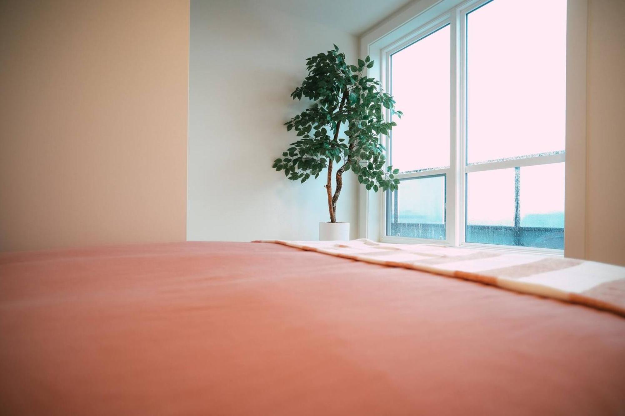 Chic Cozy Retreat - 2Br - Stunning North End Views Apartment Halifax Ngoại thất bức ảnh